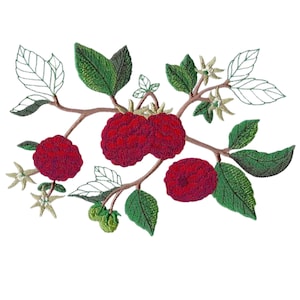 May include: An embroidery design featuring a raspberry branch with three deep red berries, several textured green leaves, small pale star-shaped flowers, and two small green buds, accented by delicate black line-art leaf outlines.