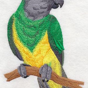 Senegal Parrot on Branch, Embroidered Towel, Flour Sack Towel, Kitchen Towel, Hand Towel, Dish Towel, Bird Embroidery, Parrot Embroidery