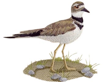 Killdeer Embroidered Waffle Weave Hand Dish Towel, Flour Sack, Shorebird Embroidery