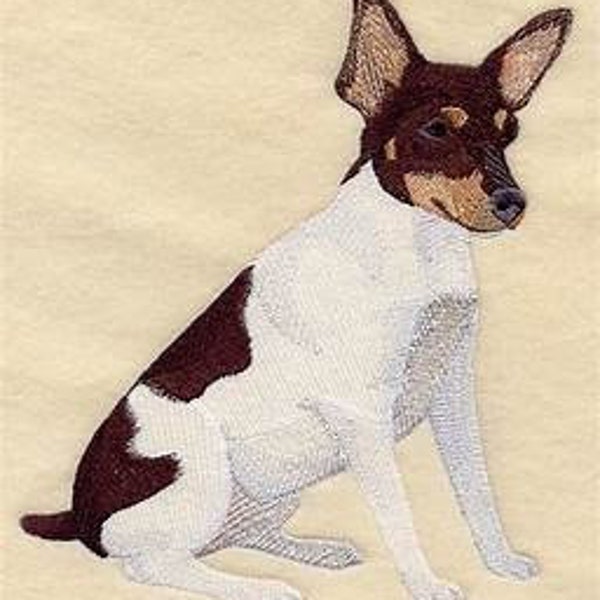 Toy Fox Terrier Etsy