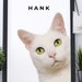 see more listings in the PEEKING CAT PORTRAIT section