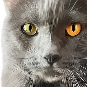 Cat portrait. A custom personalized cat portrait from your photo, style, digital file, printed poster or framed poster image 8