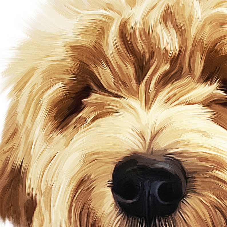 May include: Close-up of a dog's face with soft, light brown fur and a black nose. The dog's eyes are not visible.