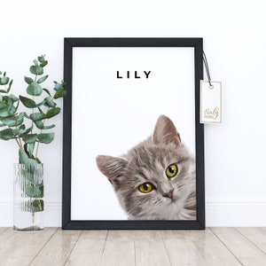 Peekaboo Cat portrait, a custom cat portrait from your photo, digital file, printed poster or framed poster