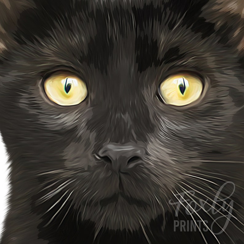 Cat portrait. A custom personalized cat portrait from your photo, style, digital file, printed poster or framed poster image 2