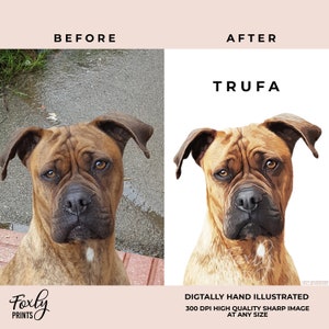 May include: A digital illustration of a brown dog named Trufa. The dog has a serious expression and is looking directly at the viewer. The illustration is in a realistic style and is set against a white background.