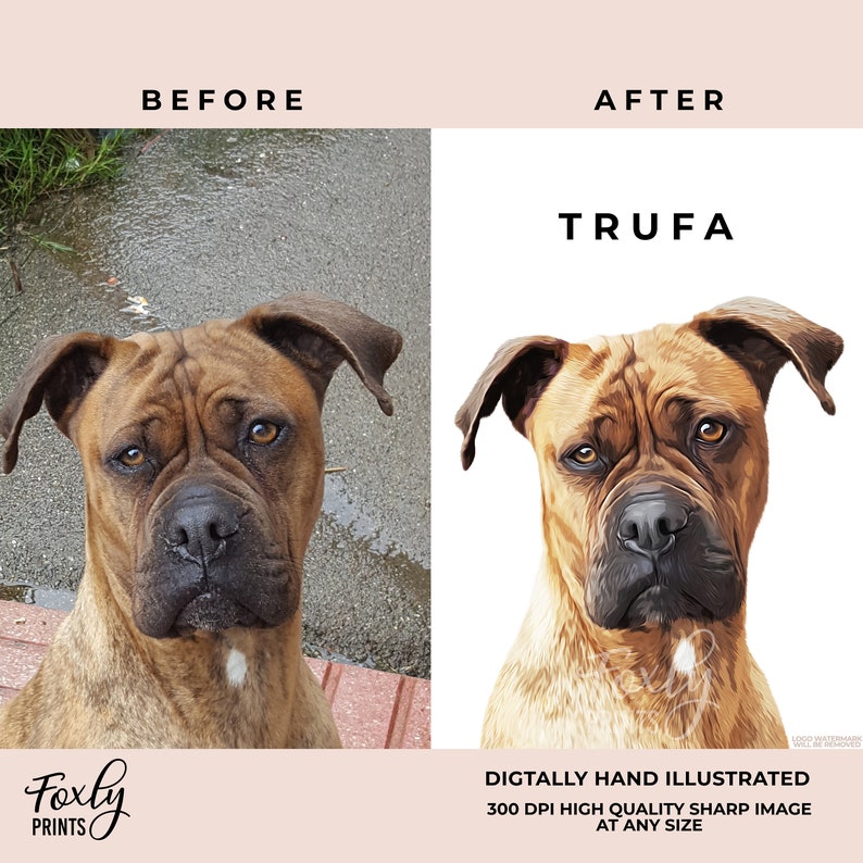 May include: A digital illustration of a brown dog named Trufa. The dog has a serious expression and is looking directly at the viewer. The illustration is in a realistic style and is set against a white background.