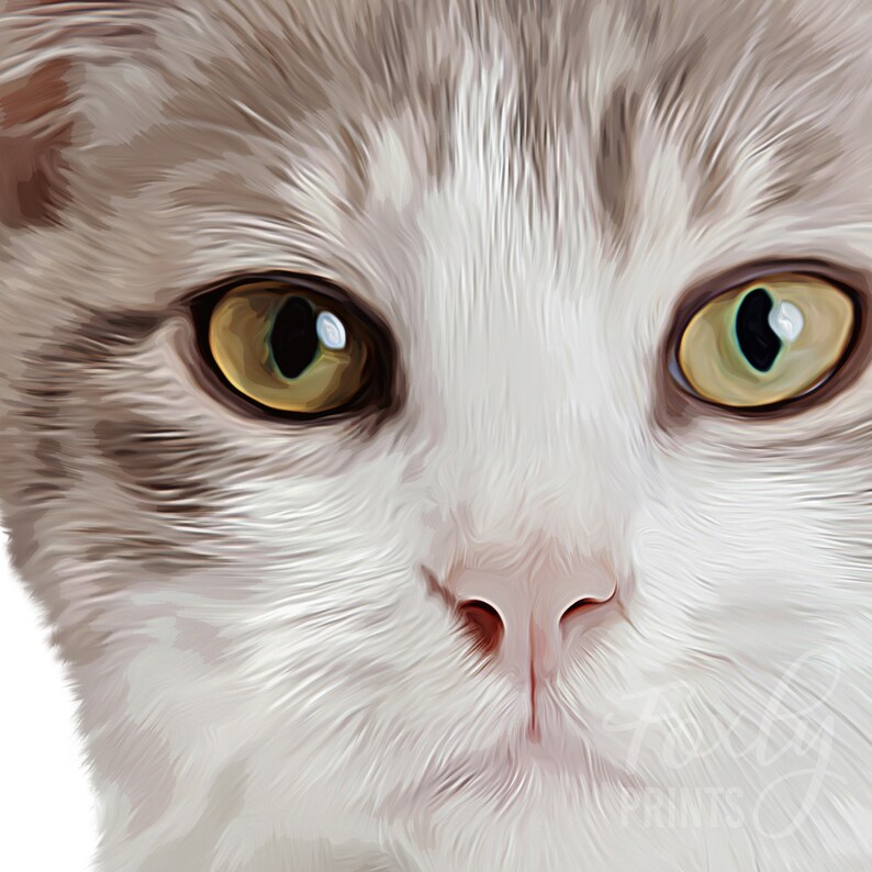 Cat portrait. A custom personalized cat portrait from your photo, style, digital file, printed poster or framed poster image 6