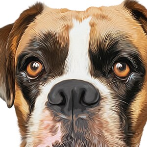 May include: Close-up portrait of a brown and white boxer dog with black markings around the eyes. The dog has a serious expression and is looking directly at the camera.