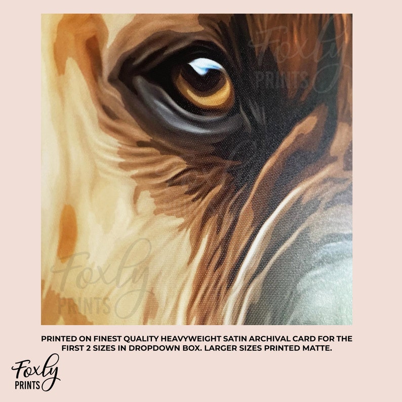 May include: Close-up of a dog's eye, painted in a realistic style. The eye is brown with a hint of blue, and the fur is a mix of light and dark brown.