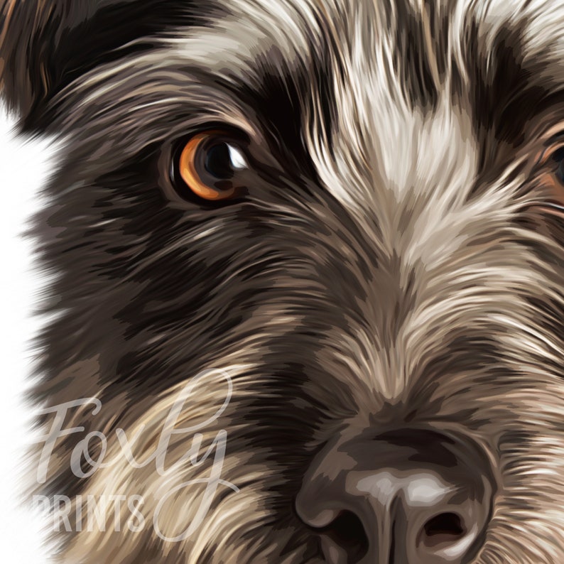 Dog portrait, a custom dog portrait from your photo, digital file, printed poster or framed poster, pet memorial image 2