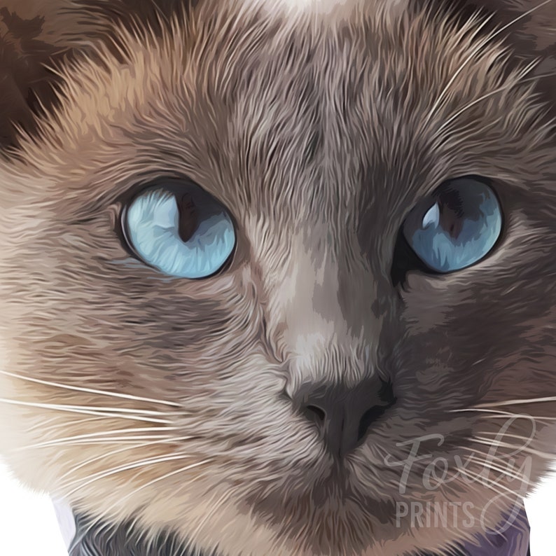 Cat portrait. A custom personalized cat portrait from your photo, style, digital file, printed poster or framed poster image 10