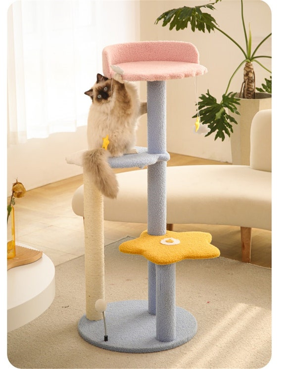 cat condos canada