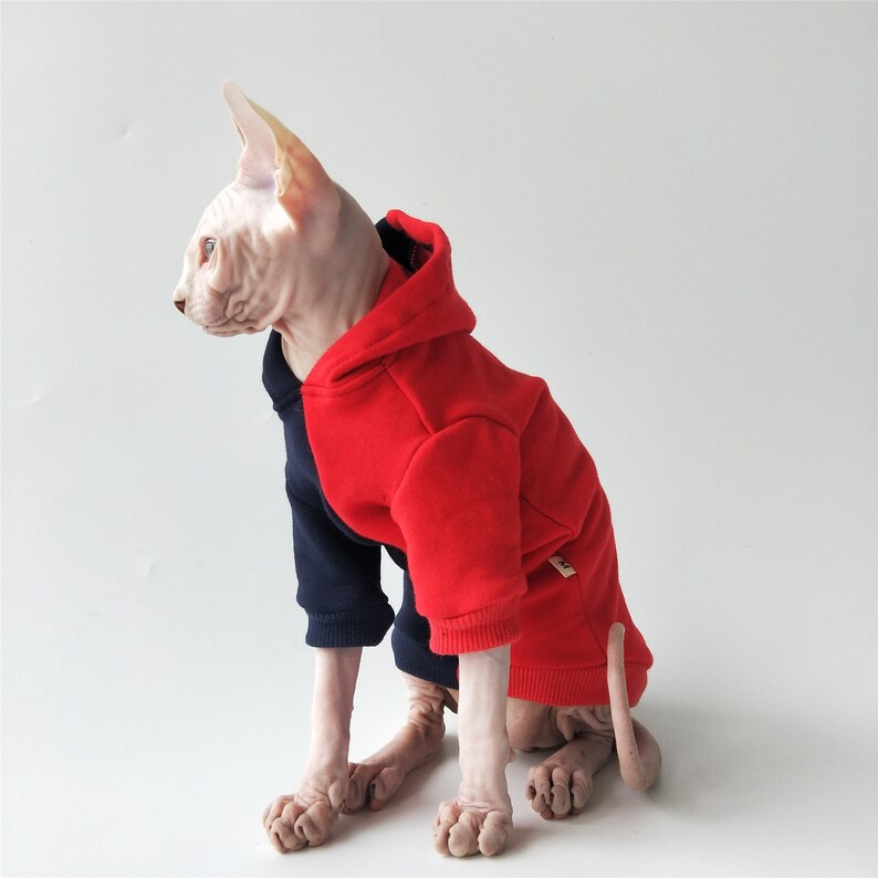 How to Keep Your Cat Warm All Winter With a Stylish Sweater 
