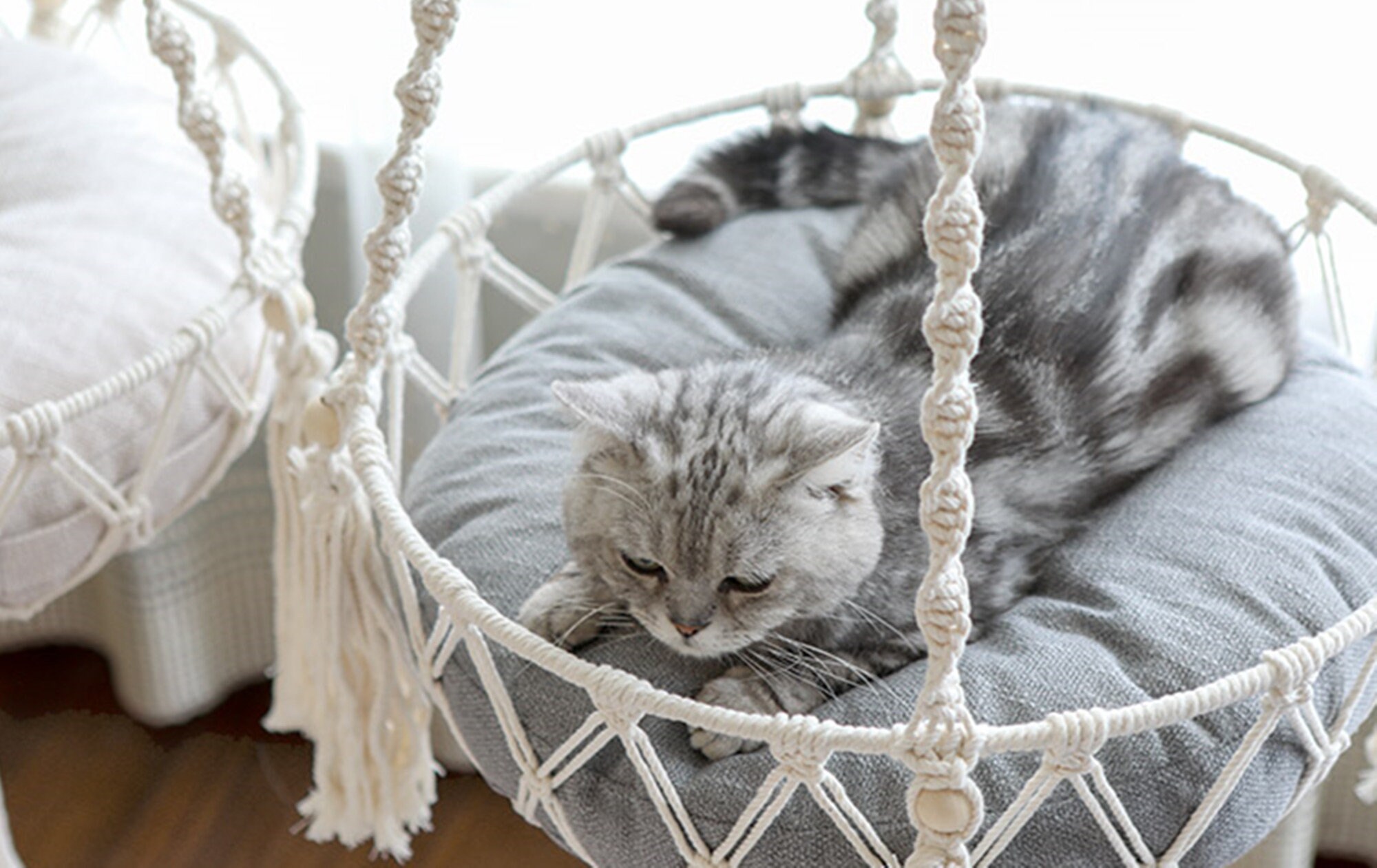 Boho Cat Window Hammock Bed Fashion Cat Window Perch Hanging Etsy