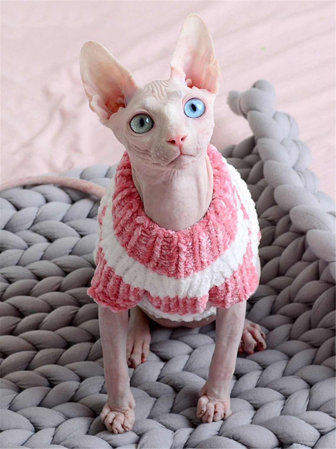 Crochet Cat Sweater With White Stripes Fall Winter Hairless Etsy
