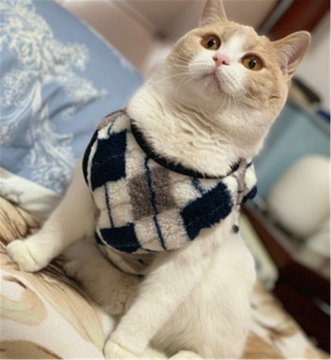 Diamond plaid Cat Sweater Fall Spring Cosy Cat Dress Kitten | Etsy