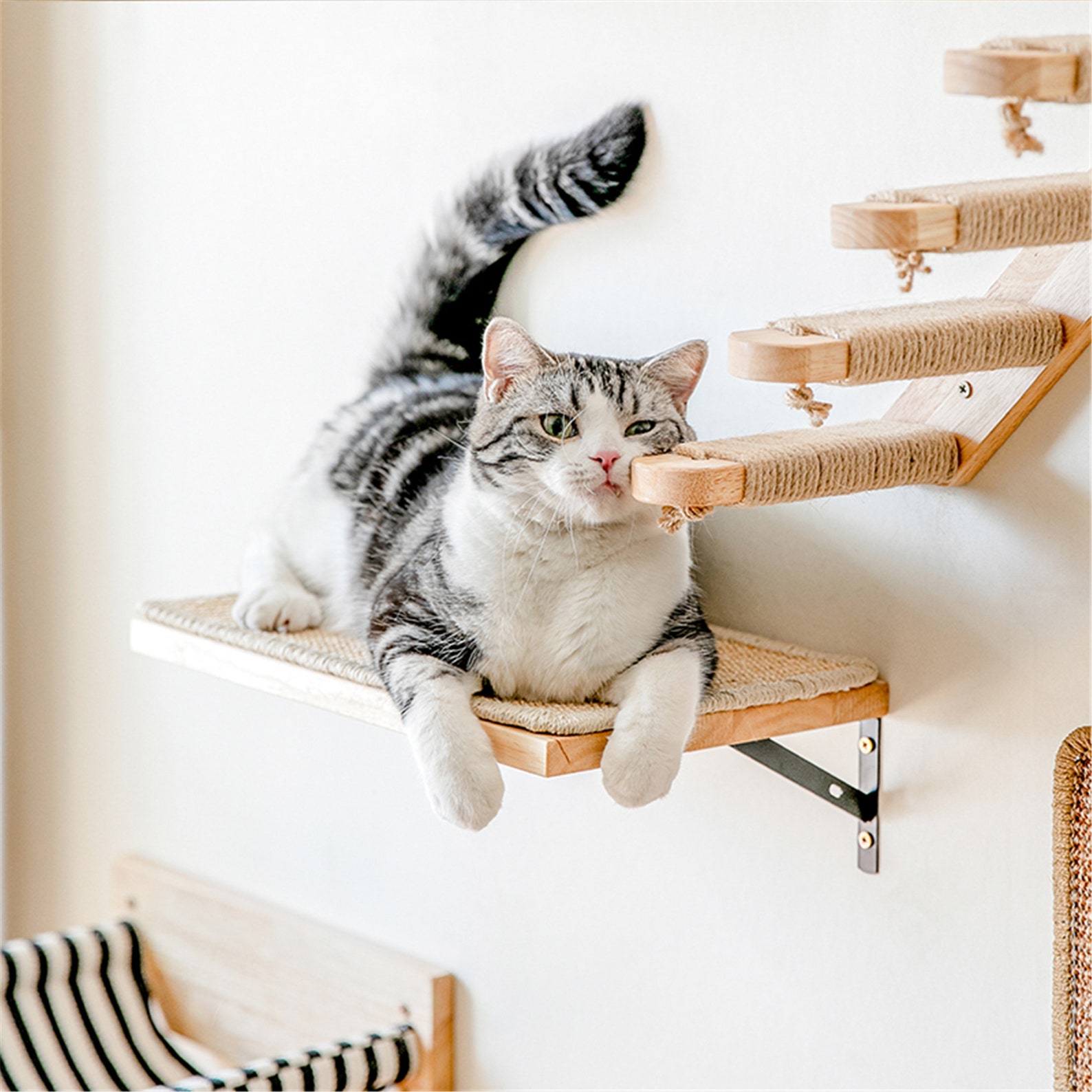 Katzen Wand Hängematte Katzenbaum Turm Haus süße Katze Etsy