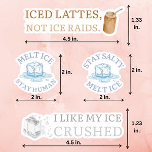 May include: A set of stickers featuring ice-themed designs and text. One sticker reads "ICED LATTES, NOT ICE RAIDS." Another says "MELT ICE, STAY HUMAN." The third says "STAY SALTY, MELT ICE." The last sticker says "I LIKE MY ICE CRUSHED."