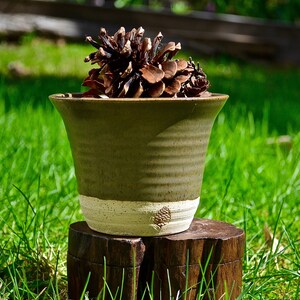 May include: A ceramic planter with a flared rim, featuring a matte olive green upper section and a speckled cream-coloured base. A small, embossed pinecone detail is visible on the lower portion, and a large brown pinecone rests inside.