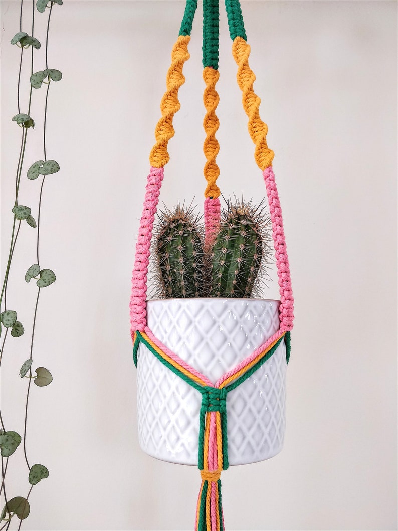Bright & Colourful Macrame Plant Hangers  Wall Hanging  image 1
