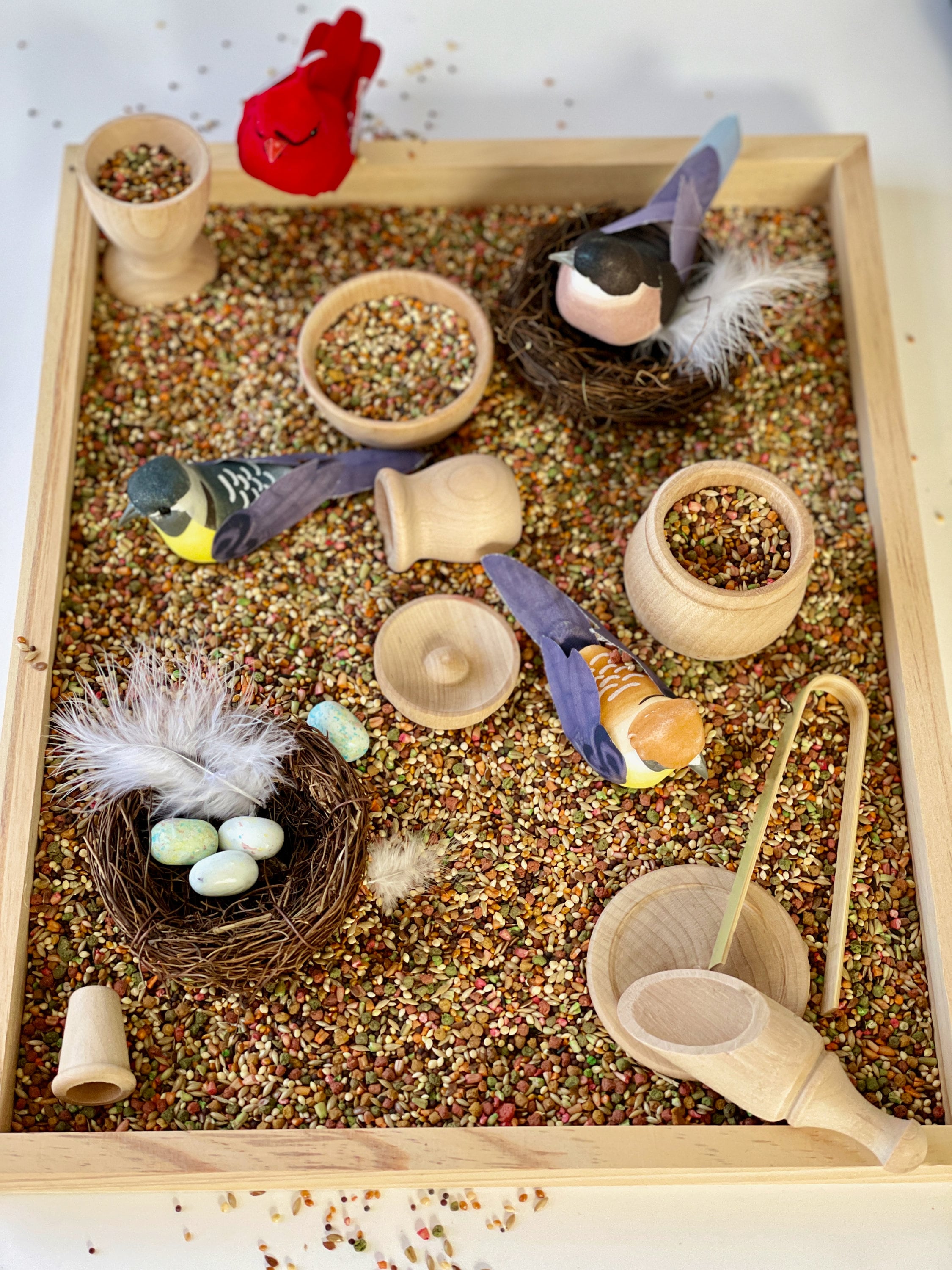 Wooden Sensory Tray With 11 Piece Sensory Play Tool Set Etsy