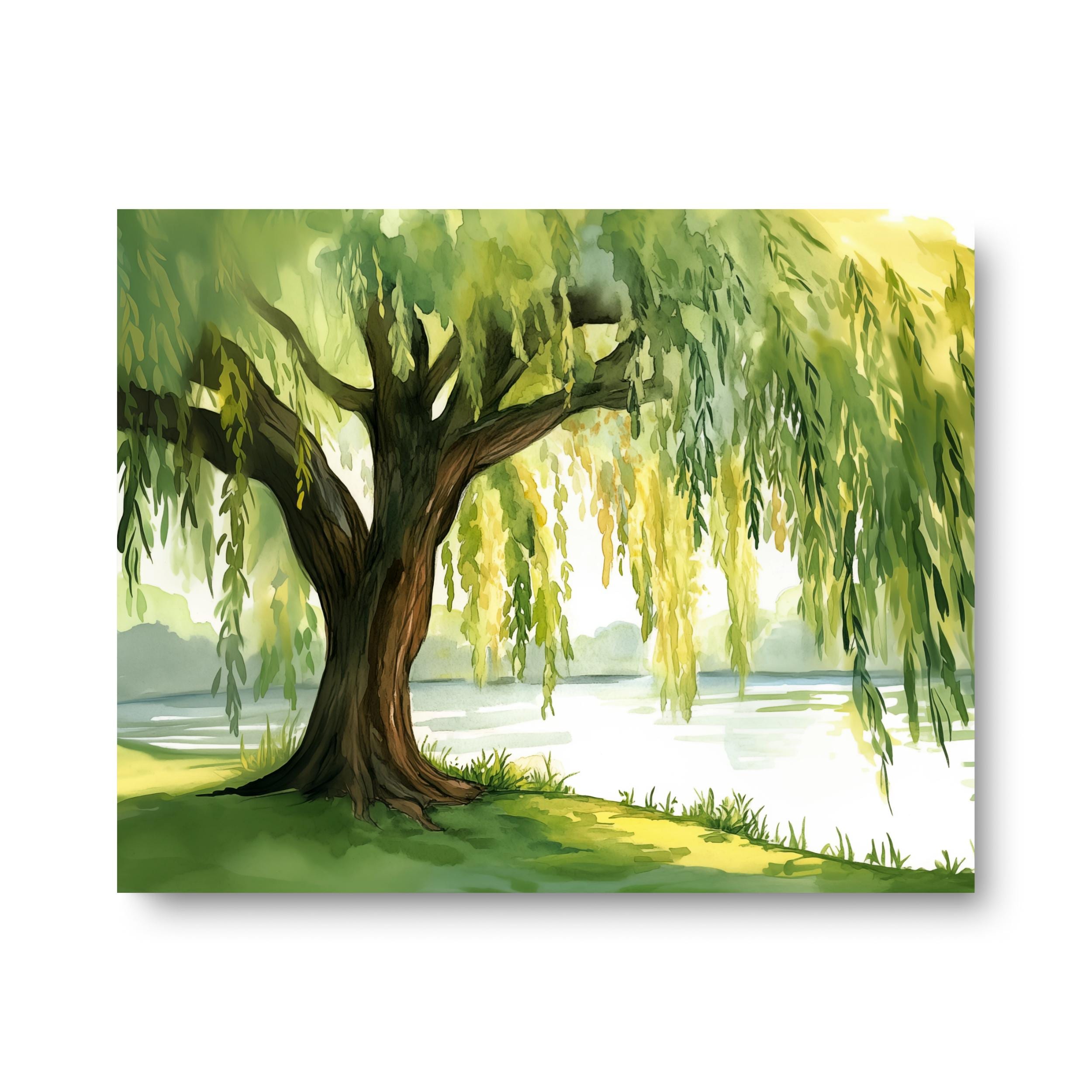 Willow Tree Watercolor Print, Serene Lakeside Landscape Art
