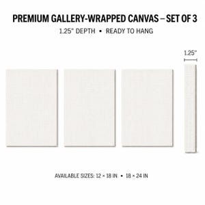 May include: A set of three blank white gallery-wrapped canvases with a 3.175 cm depth. The text reads: PREMIUM GALLERY-WRAPPED CANVAS &ndash; SET OF 3, 1.25" DEPTH &bull; READY TO HANG, and AVAILABLE SIZES: 12 &times; 18 IN &bull; 18 &times; 24 IN. A side view shows the depth.