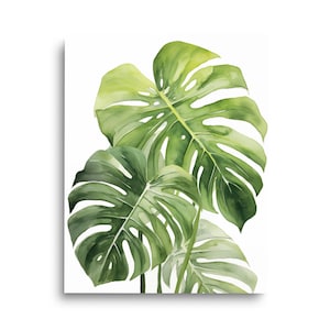 Monstera Plant Watercolor Print | Monstera Deliciosa | Leafy Plant Decor | Indoor Plant Wall Art | Houseplant Art | Green Plant Illustration