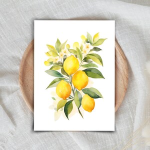 May include: A watercolor illustration of a lemon branch featuring four bright yellow lemons, green leaves, and small white blossoms. The artwork is presented on a white rectangular background, showcasing a botanical arrangement of citrus fruit.