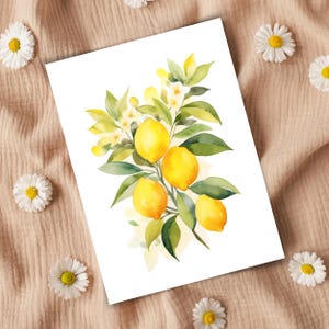 May include: A watercolor illustration on a white rectangular background featuring a cluster of four bright yellow lemons hanging from a branch with green leaves and small white blossoms, rendered in a soft, artistic painting style.