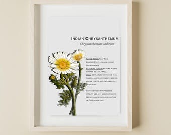 Impresión artística de flor de crisantemo / Impresión floral / Flor de crisantemo indio / Póster botánico / Regalo para amantes de las flores / Identificación de flores