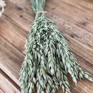 Dried oats, dried flowers in natural green, dried flowers