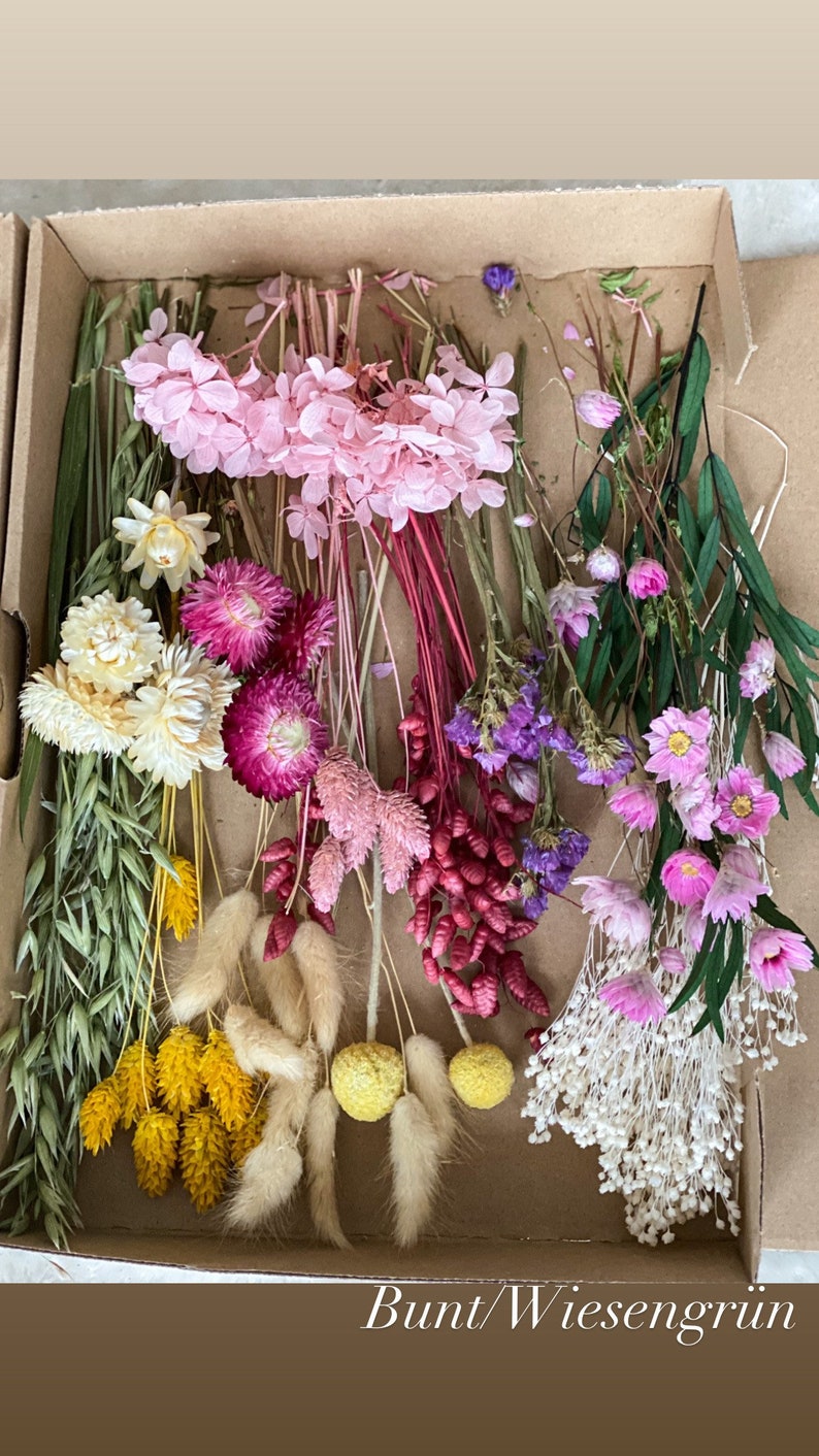 DIY Trockenblumen DIY-Set in bunten und verschiedenen Farben, DIY-Trockenblumenstrauß, Trockenblumenkranz mit Pampasgras, Lagurus, Phalaris Bunt/Wiesengrün