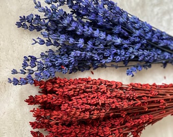 Lavender, dried flowers, preserved lavender in blue or rust-red