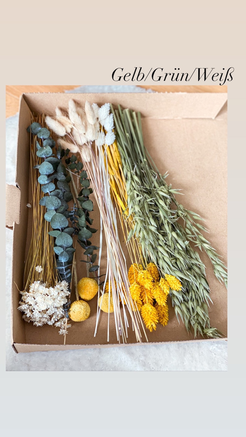 DIY dried flowers DIY set in colorful and different colors, DIY dried flower bouquet, dried flower wreath with pampas grass, lagurus, phalaris Gelb/Grün/Weiß