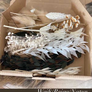 DIY dried flowers DIY set in colorful and different colors, DIY dried flower bouquet, dried flower wreath with pampas grass, lagurus, phalaris Weiß/Beige/Natur