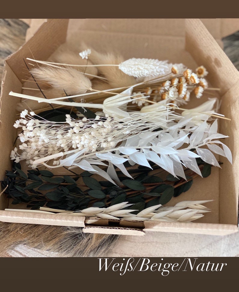 DIY dried flowers DIY set in colorful and different colors, DIY dried flower bouquet, dried flower wreath with pampas grass, lagurus, phalaris Weiß/Beige/Natur