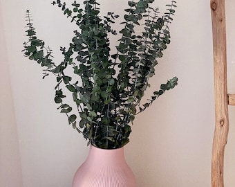 Eucalyptus, baby eucalyptus, preserved eucalyptus, dried flowers