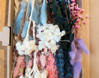 Kit de flores secas DIY "Pastellic Touch" en colores naturales, ramo de flores secas DIY, corona de flores secas DIY con Lagurus, Glixia, Broom