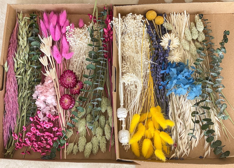 Reinscer Lot de 120 fleurs d'automne séchées, queues de lapin, fleurs séchées, lagurus, ovatus, queue de lapin, herbe pour fleurs séchées (noir