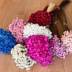 Glixia in natural colors, pink or purple - Marcela dried flowers, dried flower bouquet in boho style