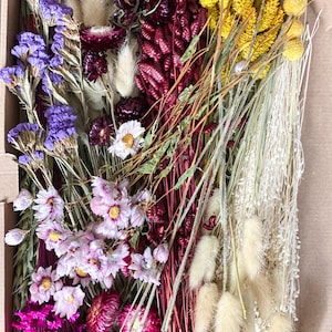 DIY dried flowers DIY set &quot;Four Seasons&quot; in bright and different colors, DIY dried flower bouquet, dried flower wreath