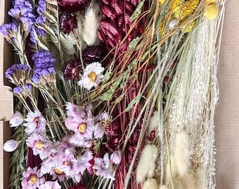 Kit de flores secas para manualidades "Cuatro Estaciones" en colores variados y llamativos, ramo de flores secas para manualidades, corona de flores secas.