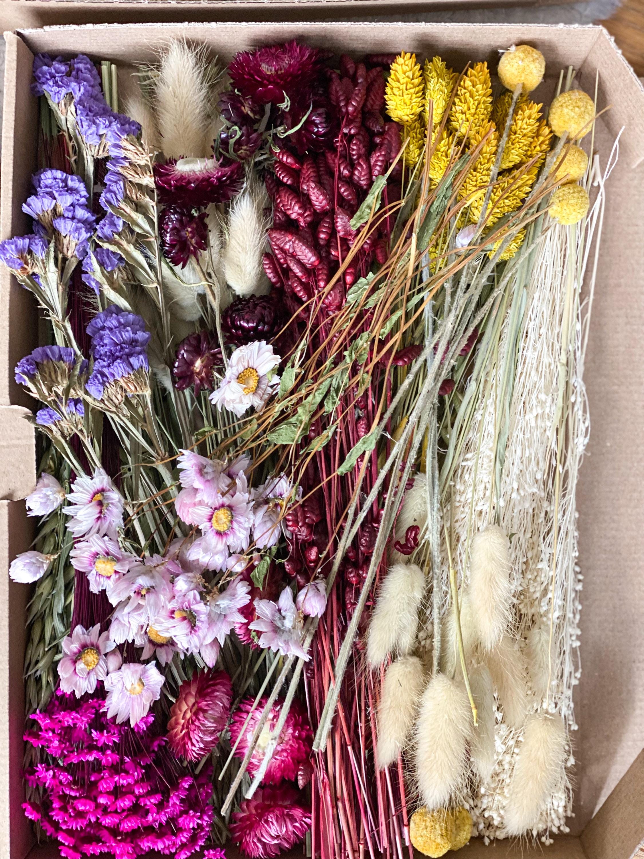 ドライフラワーdiy - Etsy 日本