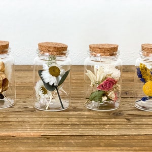 Dried flowers - bouquet in a glass dry flowers in different colors, dried flower bouquet in a glass