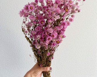XL bos gedroogde rododendronbloemen, wit of roze, grote en kleine bos.