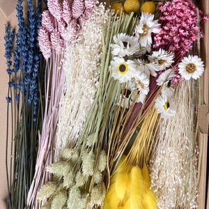 DIY Trockenblumen DIY-Set „Vier Jahreszeiten“in bunten und verschiedenen Farben, DIY-Trockenblumenstrauß, Trockenblumenkranz