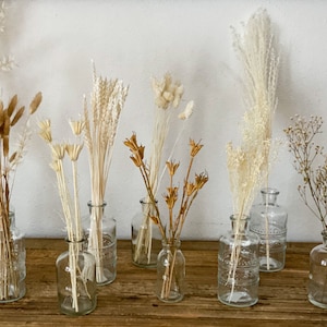 Può includere: Una collezione di fiori e erbe secche in vasi di vetro trasparente con superfici testurizzate. I vasi sono disposti su una superficie di legno.