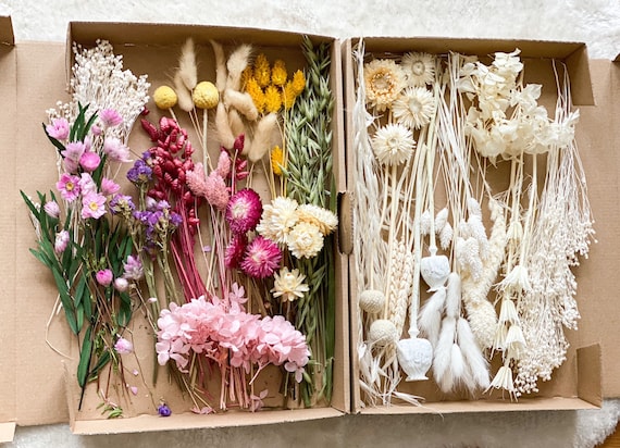 DIY Trockenblumen DIY-Set in bunten und verschiedenen Farben, DIY- Trockenblumenstrauß, Trockenblumenkranz mit Pampasgras, Lagurus, Phalaris